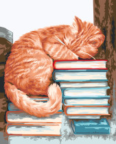 " ФРЕЯ" PNB/ PL- 056 Набор для раскрашивания по номерам 50 х 40 см " Мудрый кот" 